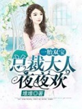 《无敌双宝:首席大人是男神》封面